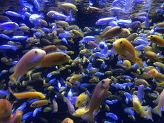 -成都浩海立方海洋公园