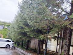 -鞍山岫岩沟汤温泉