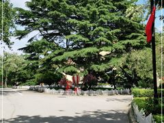 -青岛德国总督楼旧址博物馆