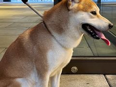 -瑞虹新天地月亮湾