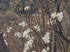 -龙泉峪长城
