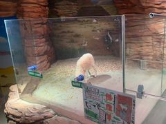 -正佳雨林生态植物园