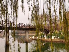 -贡湖湾湿地公园