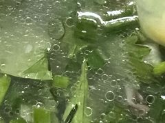 -河间正宗驴肉火烧(听海居店)