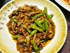 -东鸽皇(奥园·中环广场店)