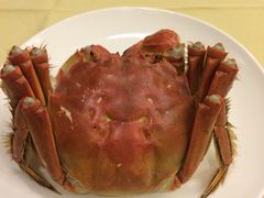 -王宝和酒家(黄浦店)