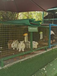 -可可天空农场(中大店)