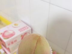 -老袁家蜜桃农场·阳山水蜜桃