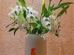 -绝城芋儿鸡(犀浦旗舰店)