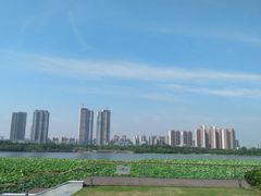 -月湖风景区