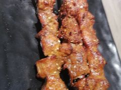 特色红柳大串-大京园海鲜烧烤(东城路店)
