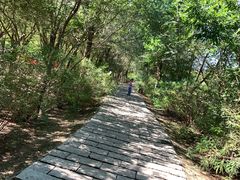 -西青郊野公园