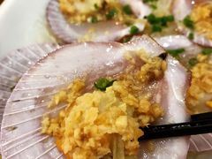 扇贝-琼菜王(南海店)