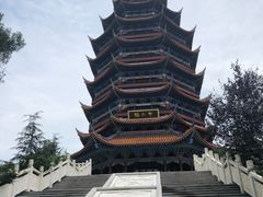 -铁山坪森林公园