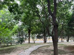 -立水桥公园