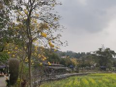 -红山村