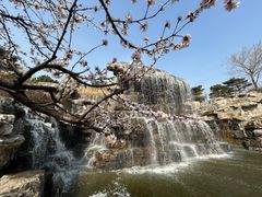 -北京西山国家森林公园