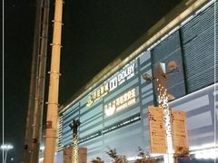 -上海颛桥万达广场