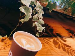 -Bco豆库(星耀天地店)