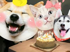 -味多美蛋糕(马家堡永辉店)