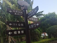 -东湖公园游乐场