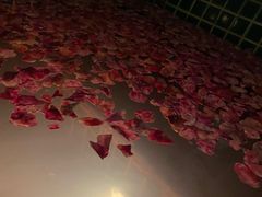 -春晖园度假酒店温泉