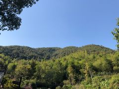 -梦娜斯庄园