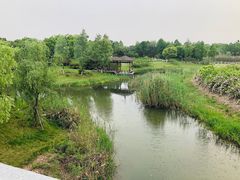 -尚贤河湿地