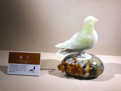 -大连自然博物馆
