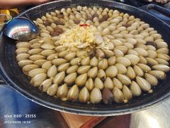 -水哥卜卜贝(东晓·胜汇里店)