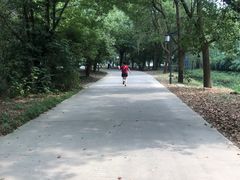 -溱湖国家湿地公园