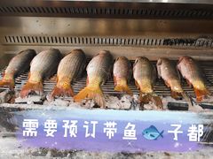 -杨合林啊兰烤鱼