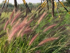 -汉长安城未央宫国家考古遗址公园