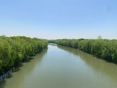 -广富林郊野公园