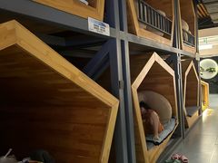 -星河湾温泉洗浴酒店