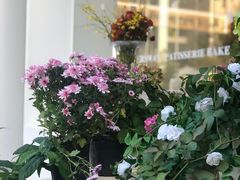 -名点荟·生日蛋糕·下午茶(五缘湾店)
