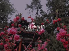 -颐和园