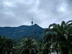 -梧桐山风景名胜区