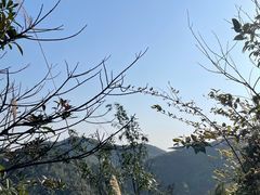 -南山植物园