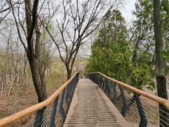 -白水寺森林公园