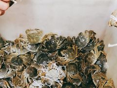 -黄记大闸蟹专卖店·活蟹·醉蟹