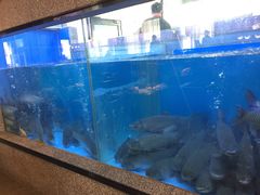 水产区-淘米捞·米汤脆鲩鱼火锅(福田皇岗店)