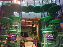 点击看大图 -恐龙探索乐园(磁器口店)