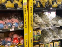 -沼津港精致料理·寿喜烧·烧鸟(龙湖南桥天街日料榜单店)