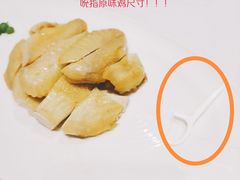 -新吉士·上海菜(浦东LCM置汇旭辉店)