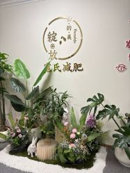-寇氏减肥