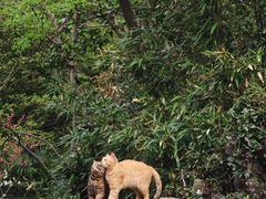 -南山风景名胜区