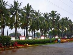 -万绿园