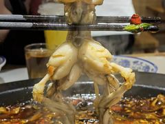 -费明中罗非鱼(大石坝店)