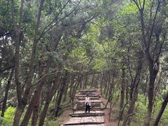 -金堂县云顶石城风景区